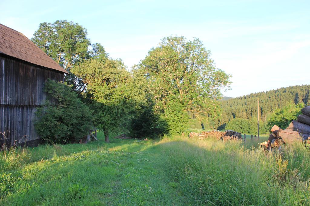 Landgasthof Haueis Marktleugast Экстерьер фото