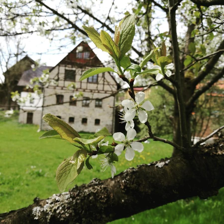 Landgasthof Haueis Marktleugast Экстерьер фото